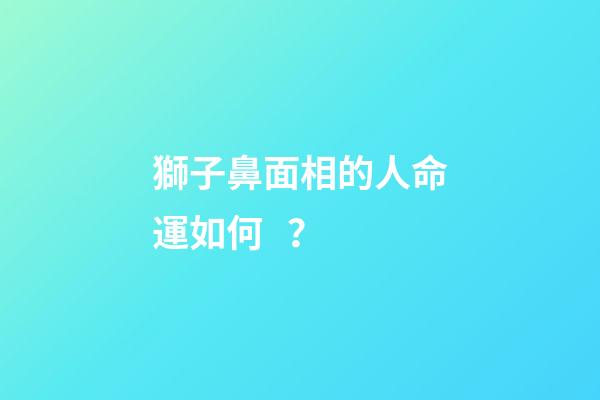 獅子鼻面相的人命運如何？